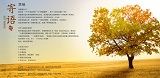 摩登7官方网站图片
